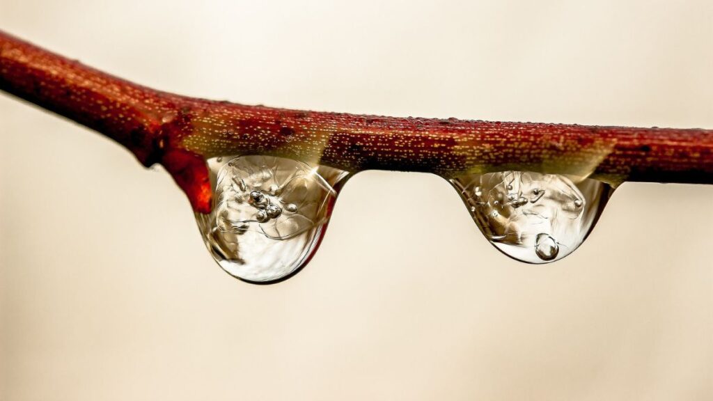 Simon & Garfunkel “The Sound of Silence” Lyrics Meaning